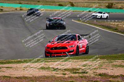 media/Feb-25-2024-Speed Ventures (Sun) [[b9a2a97a4d]]/Mustang Drivers Club/Session 3 (Turn 2)/